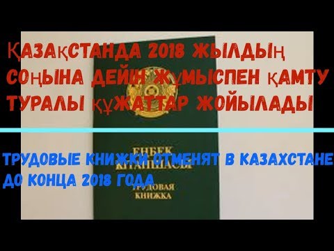 Бейне: Медициналық жазбалар жойылады ма?