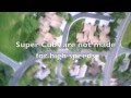 HobbyZone Super Cub Crash Landing With a Ripped Apart Tail