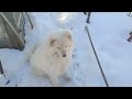 ПОМОЩНИЧКИ!!!