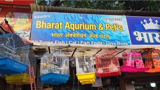 Bharat Aqurizam & Pet's Shop Nashik Visit screenshot 5