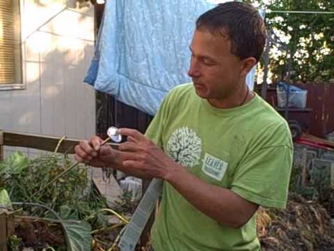 tool new album Using a Compost Thermometer to Determine How hot is your Pile?
