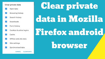 Clear private data in Mozilla Firefox android browser