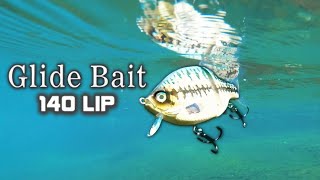 Glide Bait 140 LIP Floating - Molix