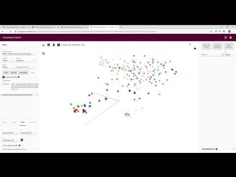 BERT visualization in Embedding projector