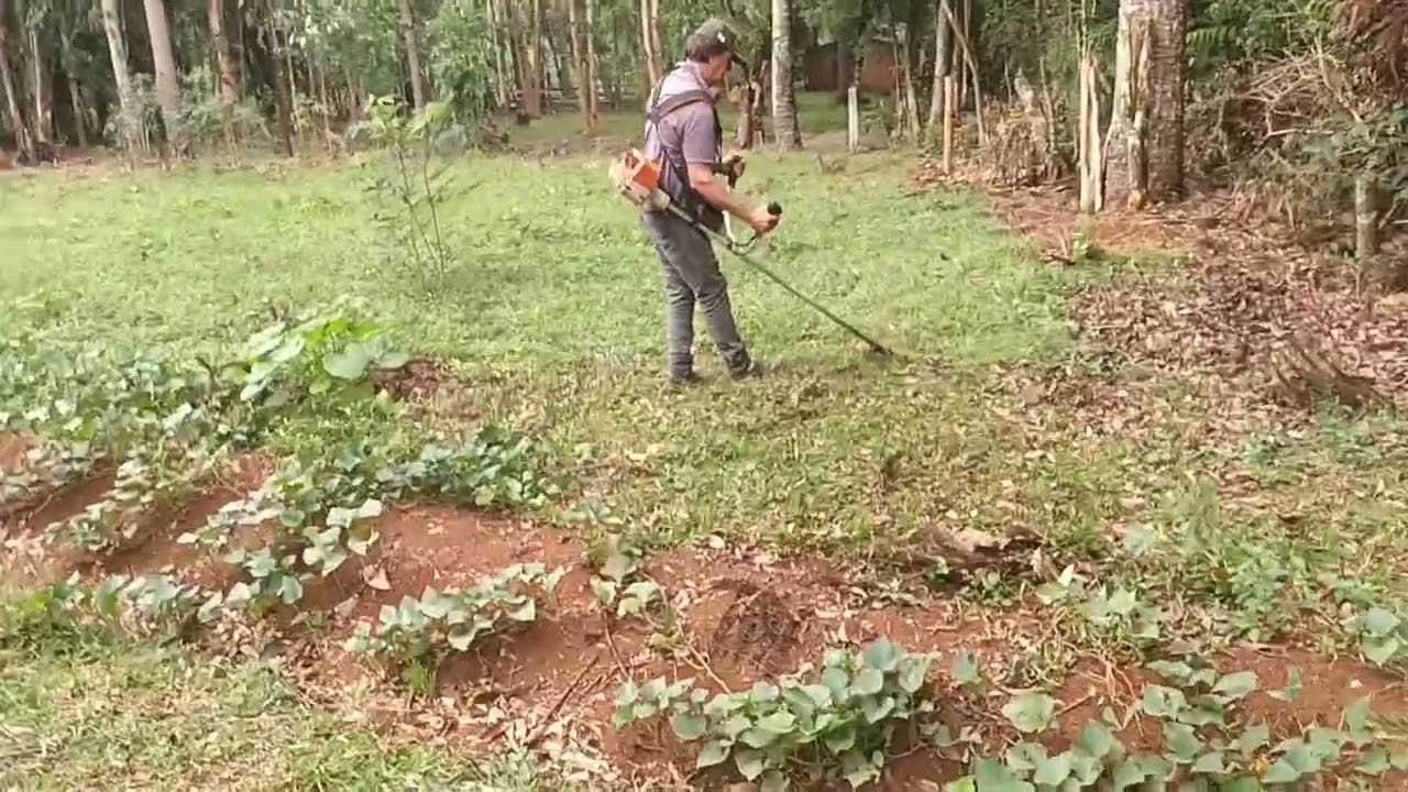 Sthil fs 160 com circular 