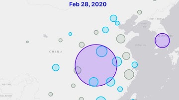 Coronavirus animation since start up to 29 Feb 2020 (COVID-19)