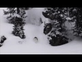 Soul & Progression (HIGH QUALITY)