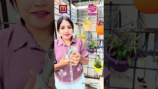 🥰Meesho foldable glass 😊 @meeshoapp @meeshocreatorclub #meeshoapp #meeshocreatorclub #nadhiya
