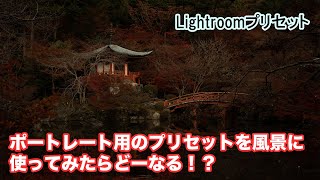 ポートレート用のプリセットを風景に使ってみたら...どーなる！？#5