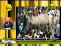 الحيوان في القرآن للدكتور سامح عرابي 9 10 2012
