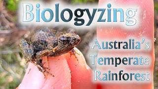 Biologyzing a Temperate Rain Forest in Australia