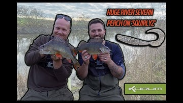HUGE RIVER PERCH