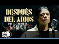 Despus del adis daniel caldern y los gigantes del vallenato  oficial