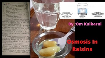 Cell CONCEPT OF OSMOSIS USING RAISINS:: ACTIVITY 5.4 CLASS IX BIOLOGY::TYPES OF OSMOSIS