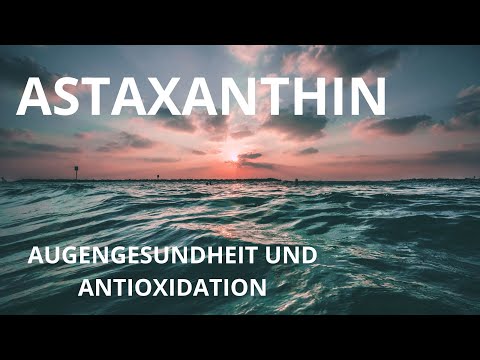 Video: Astaxanthin för hundar: Powerhouse Super Nutrient Alla pratar om