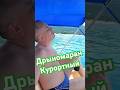 Прогулка на катамаране #life #2024 #reels #action #море #отдых #кайф