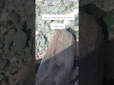 الذهب الكاذب