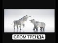 Слом тренда: как понять окончание даунтренда на графике? Вечный урок для любого актива. Тех анализ