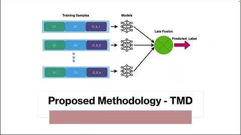 Fake News Detection in Social Media using Graph Neural Networks and NLP Techniques: A COVID Use-case
