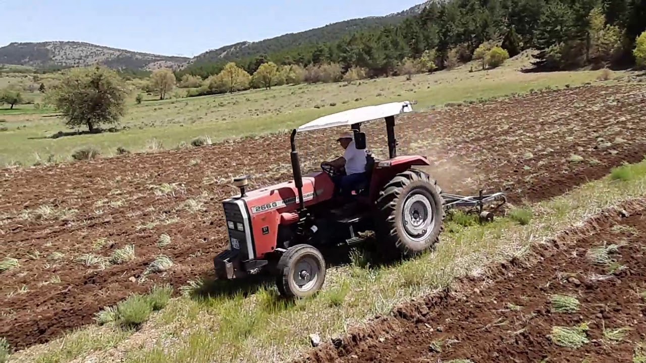 MF 266 Gold NADAS PERFORMANSI !!!!  (Ciğerli )