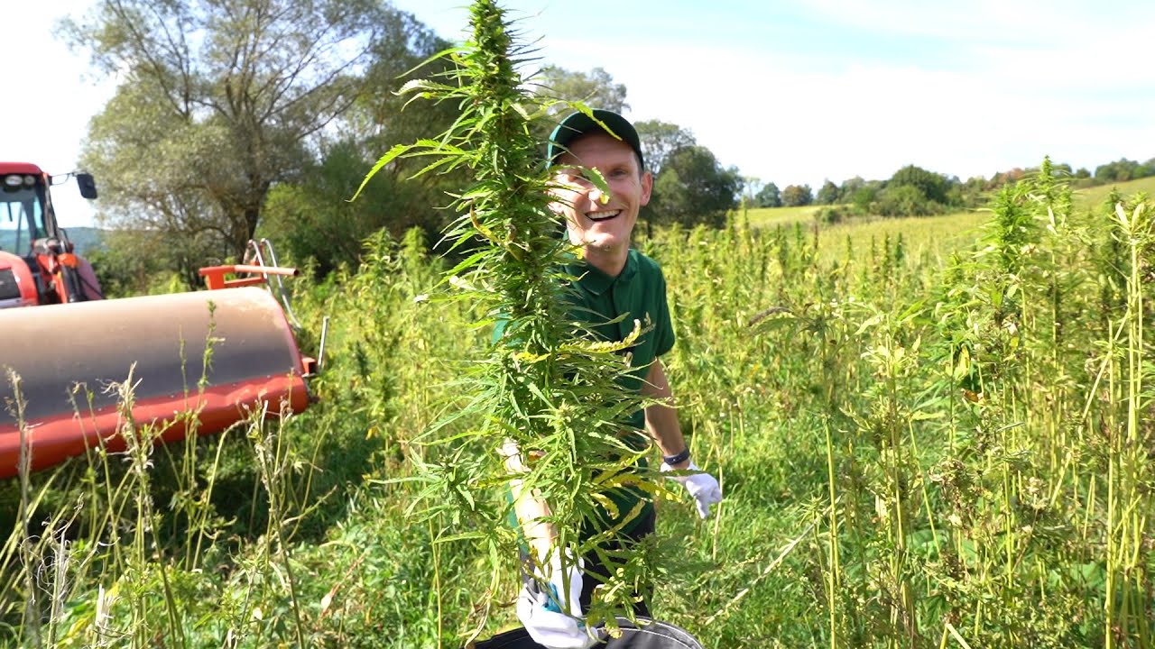 1 Deň ako... Pestovateľ konope I SÚŤAŽ [epi 32]