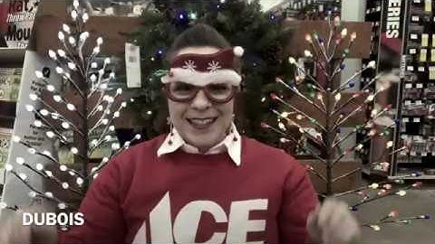 ALL I WANT FOR CHRISTMAS ׀ PARODY ׀ Ace fix-it Hardware