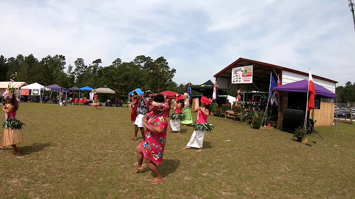 My Video