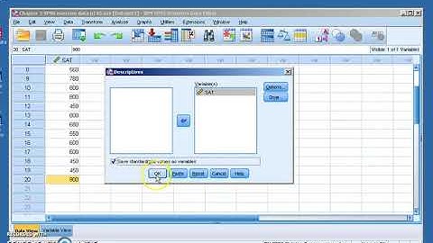 Chapter 5 z score SPSS exercise