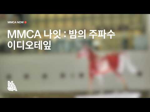 [MMCA NOW] MMCA Night: Night Frequency with IDIOTAPE