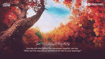 سورة المائدة بصوت دافئ وهادئ القاريء عمر بن عبد العزيز