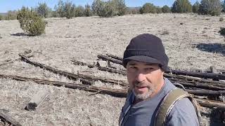 Old logs for a cabinoff grid in northern Arizona.