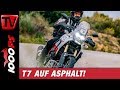 Die Yamaha Tenere 700 als Normalverbraucher - Test auf der Straße