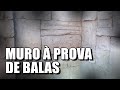 PROTEÇÃO PARA MURO SIMPLES E EFICIENTE | BLINDAGEM BARATA!