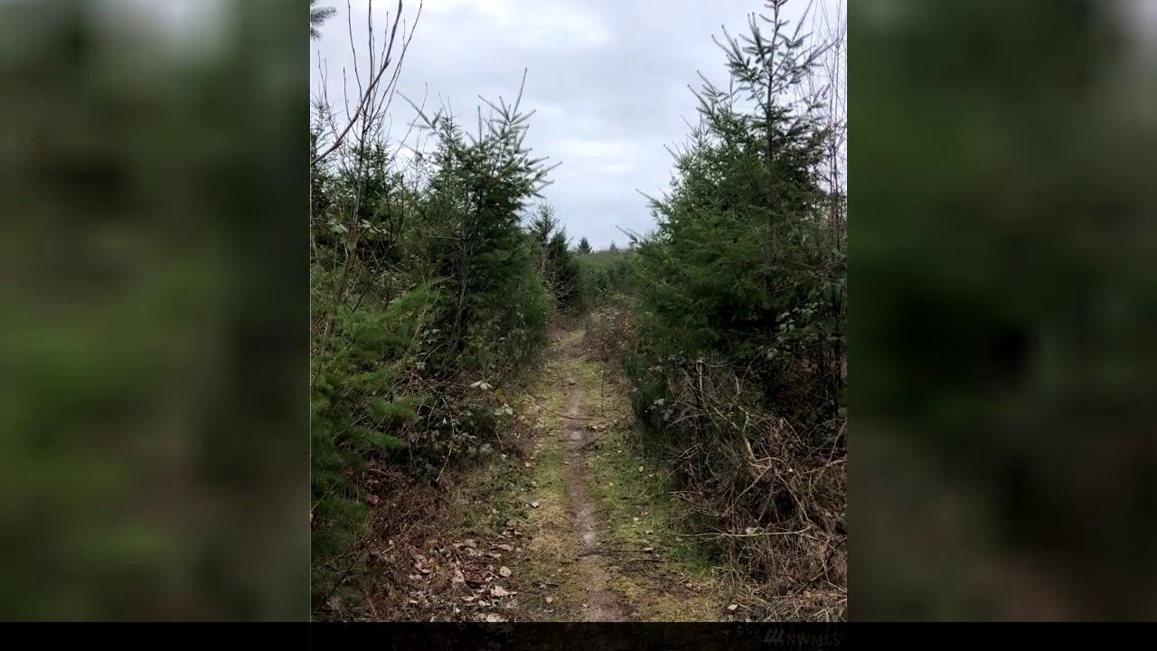 Castle Rock Lots and Land For Sale Gray Rd, Castle Rock, WA 98611