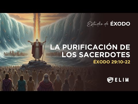 La purificación de los sacerdotes