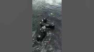 When Shiva Opens His Third Eye… Everything Changes! 🔥🕉️ #Mahadev