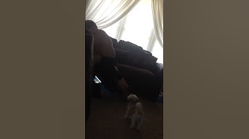 Brother and sister fighting over video about Cheetos and Dip Part 3 #videos #shots #youtubeshorts