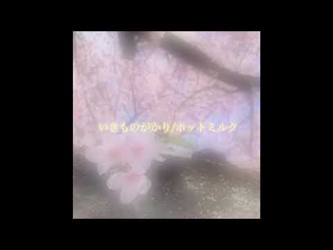 ホットミルク/いきものがかり（acoustic cover）
