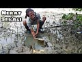 BERBURU KEPITING !!! MENANGKAP KEPITING RAKSASA DENGAN TANGAN KOSONG | KING CRAB | FISHING | CRAB