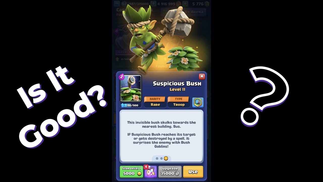 Is Suspicious Bush Good?