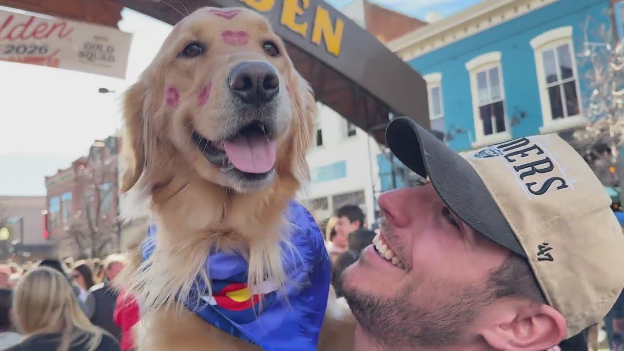 Largest gathering of golden retrievers in the world returns to Colorado