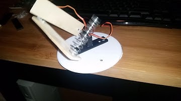 Raspberry Pi Keyboard Robot using a servo