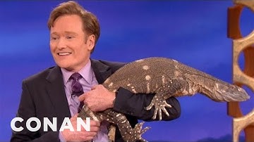Animal Expert David Mizejewski: Monitor Lizard & Giant White Pelican | CONAN on TBS
