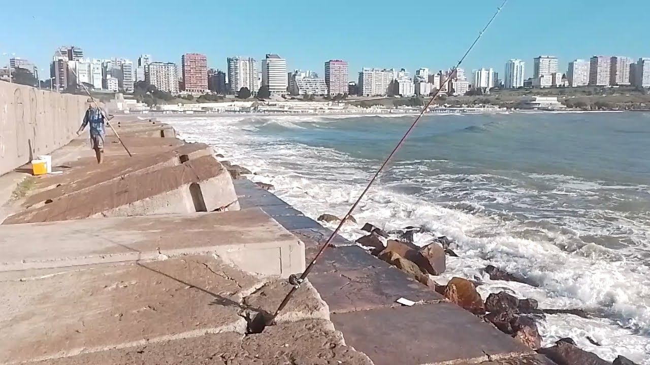 MIÉRCOLES 18 DE FEBRERO 2026.