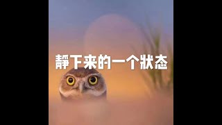 201812 静下来的一个状态50954