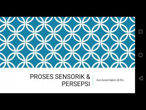 Video: Sensorik Dalam Sosionik