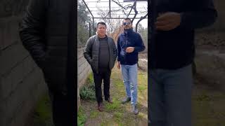 Aşik Nihat Çalışkan