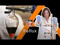 Reflux - Oxidation of Ethanol - Chemistry A-level Practial