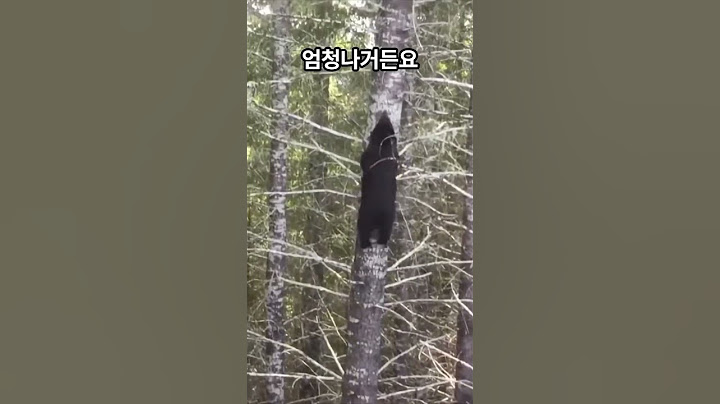 곰을 피해 나무위로 도망간 남자