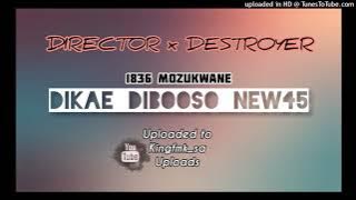Director 1836 Mzukwane_-_Dikae Dibooso_-_ft_-_Destroyer